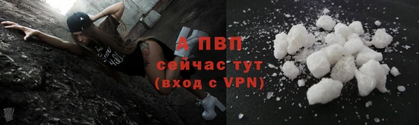 индика Зеленодольск